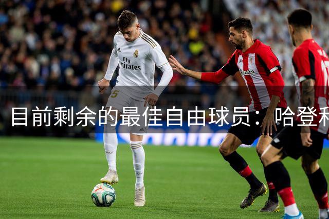 目前剩余的最佳自由球员：哈登&杜伦领衔 库明加、德罗赞等人在列